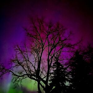 Meet your Posher, Sandy